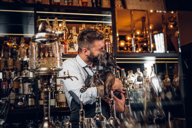 Dog-friendly Cambridge