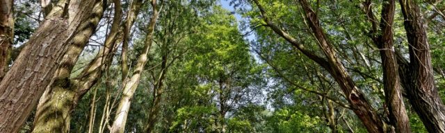 Logan’s Meadow local nature reserve
