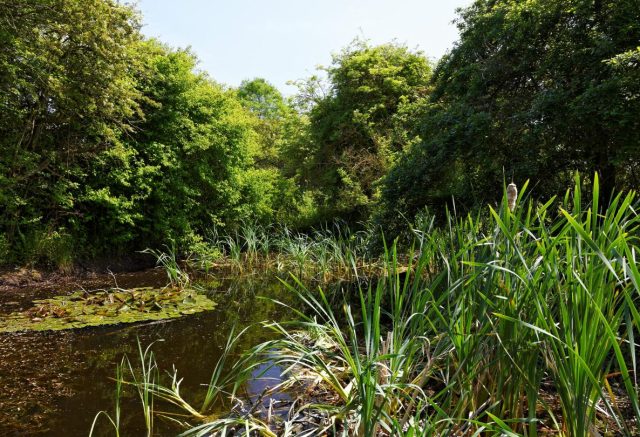 Barnwell East local nature reserve