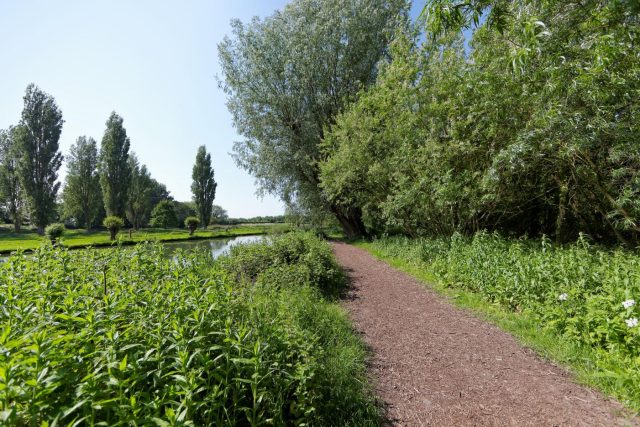 Paradise local nature reserve