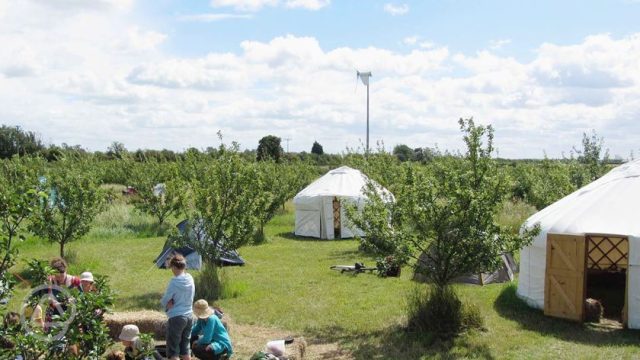 The Orchard at Fen End Farm