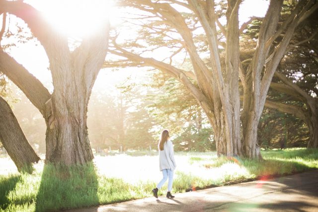 Walking Routes