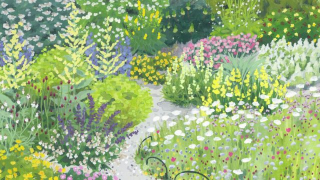 Wild Garden Walks – 11 August 2025